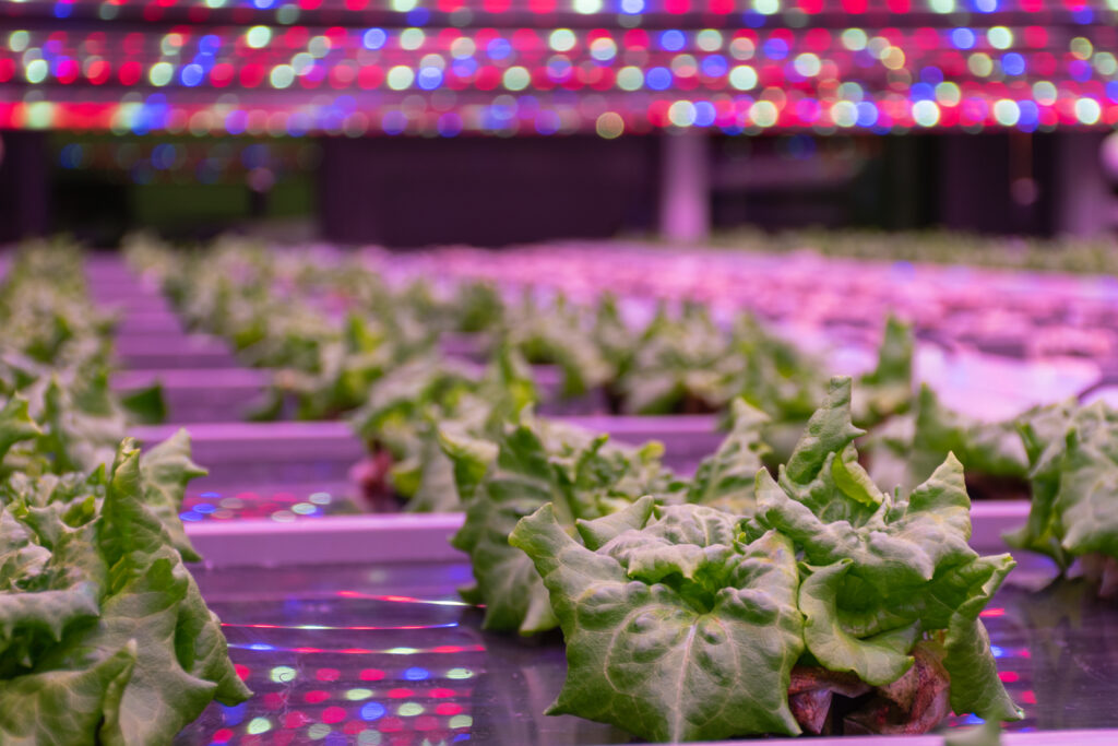 Vertical Farming: The Only Way Is Up?