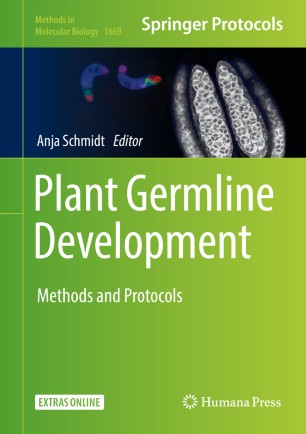 In Vivo Ploidy Determination of Arabidopsis thaliana Male and Female Gametophytes