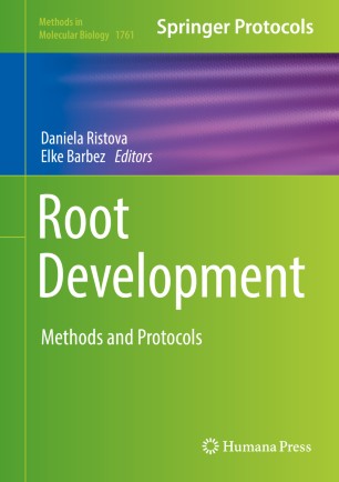 In Vitro Assay for Induction of Adventitious Rooting on Intact Arabidopsis Hypocotyls