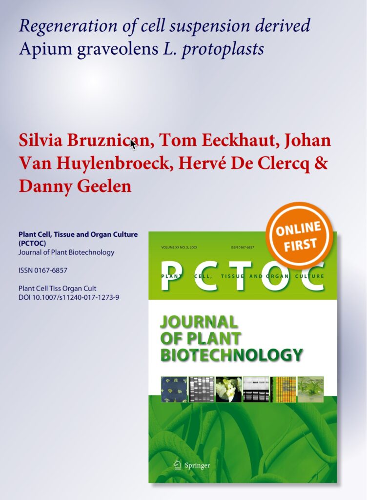 Regeneration of cell suspension derived Apium graveolens L. protoplasts