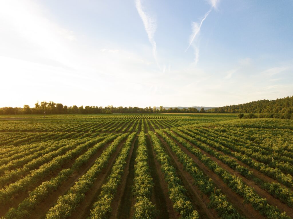 HortiCell to host International Conference on Sustainable Agriculture Biostimulants & Biopesticides, 20-22/09 2022, Ghent, Belgium