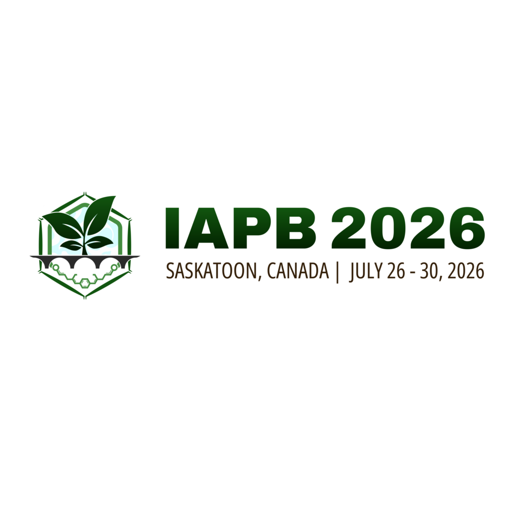 Announcement of the upcoming IAPB2026 meeting 