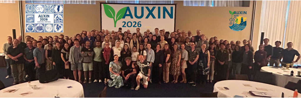 Steffen Vanneste on the Auxin 2026 conference - Algarve, Portugal