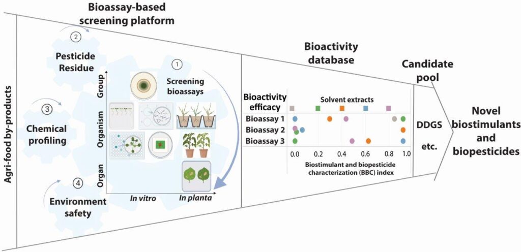 Biopesticide and plant growth-promoting activity in maize distillers’ dried grains with solubles